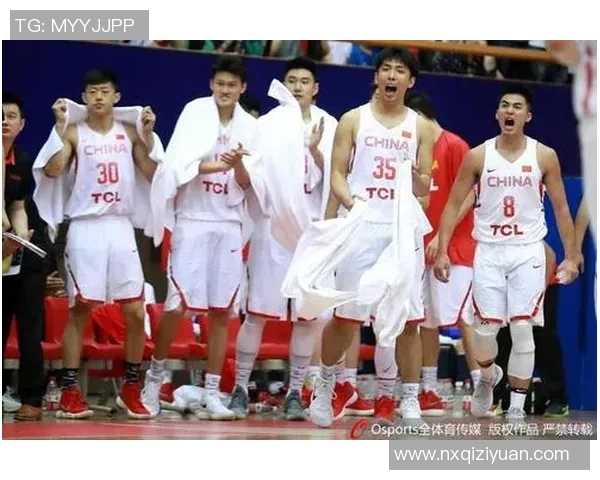 中国蓝队与伊朗队比赛数据分析及战术对比详解